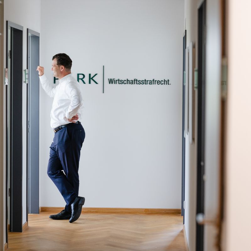 park-wirtschaftsstrafrecht-content-11